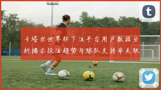 卡塔尔世界杯下注平台用户数据分析揭示投注趋势与球队支持率关联