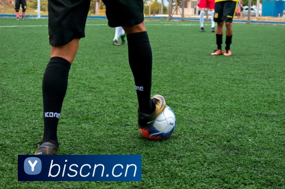 App Interface Preview